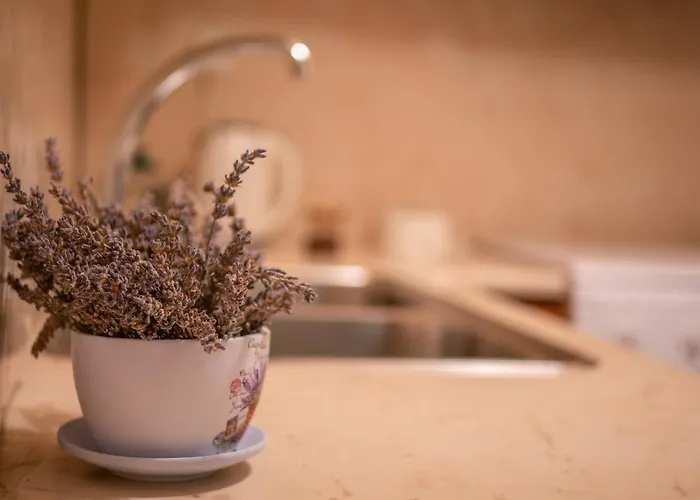 Helen - The Spartan 스파르티