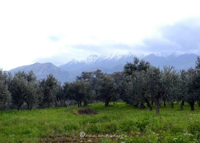 Helen - The Spartan *